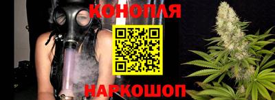 apvp Гатчина