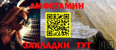 apvp Гатчина