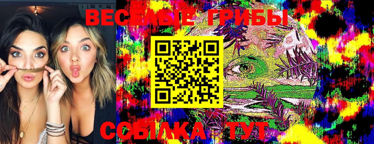 Галлюциногенные грибы Psilocybe  Вход с VPN  Южно-Сахалинск  Псилоцибиновые грибы мухоморы 